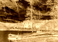 Sepia + Negatyw