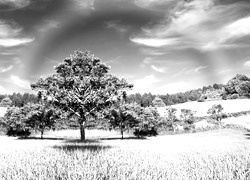 Szary + Sepia