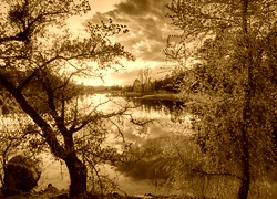Sepia
