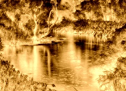 Sepia + Negatyw