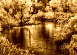 Sepia