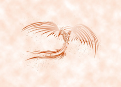 Negatyw