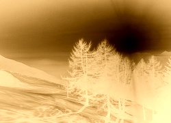 Sepia + Negatyw