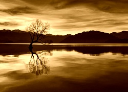 Sepia