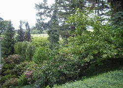 Oryginalny obrazek
