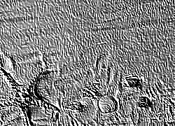 Skamielina