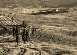 Sepia