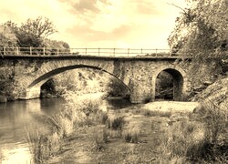 Szary + Sepia