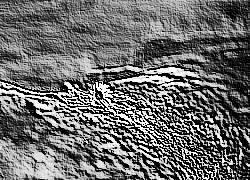 Skamielina
