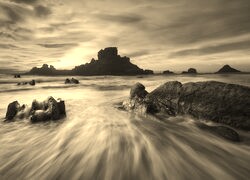 Szary + Sepia
