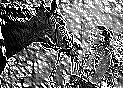 Skamielina