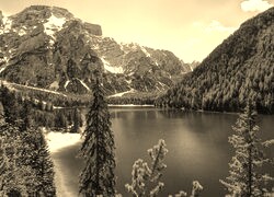 Szary + Sepia