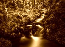 Sepia