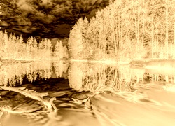 Sepia + Negatyw
