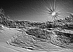 Skamielina