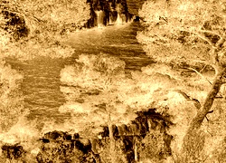 Sepia + Negatyw