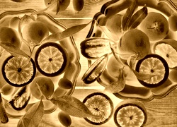Sepia + Negatyw