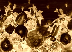 Sepia + Negatyw