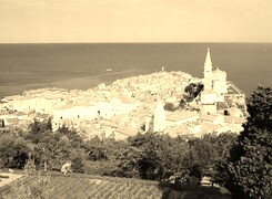 Szary + Sepia