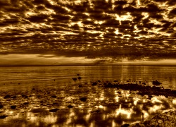 Sepia