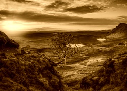 Sepia