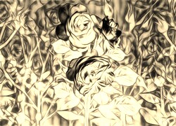 Sepia + Negatyw