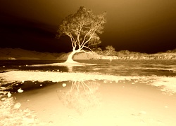Sepia + Negatyw