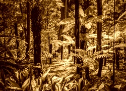 Sepia