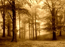 Sepia