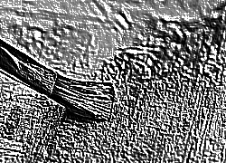 Skamielina