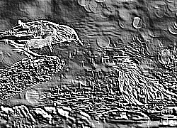 Skamielina