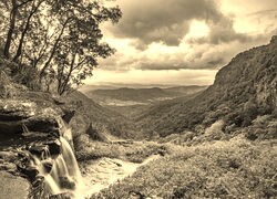 Sepia