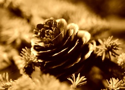 Sepia