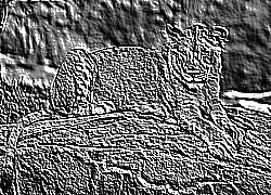 Skamielina