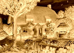Sepia + Negatyw