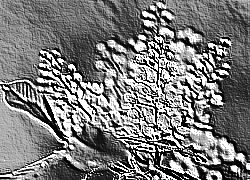 Skamielina
