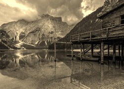 Szary + Sepia