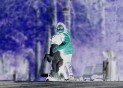 Negatyw