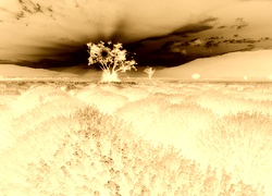 Sepia + Negatyw