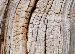 Oryginalny obrazek