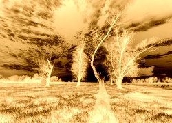 Sepia + Negatyw