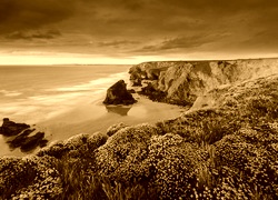 Sepia