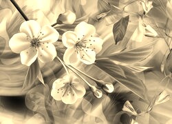 Szary + Sepia
