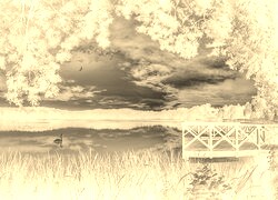 Sepia + Negatyw