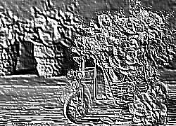 Skamielina