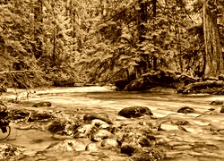 Sepia