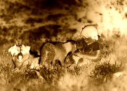 Sepia + Negatyw