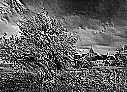 Skamielina