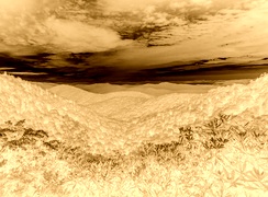 Sepia + Negatyw