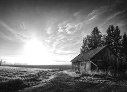 Szary + Sepia